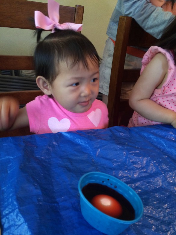 Roxy dying eggs for the 1st time