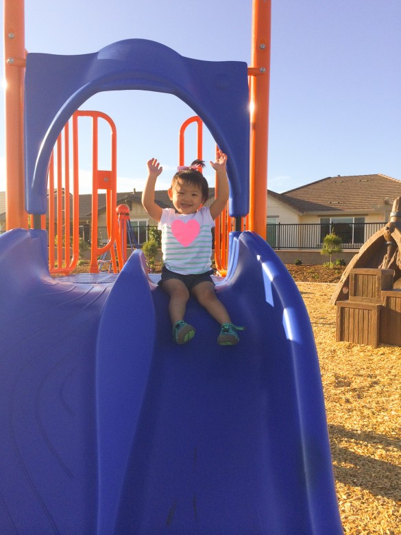 Roxy on the slide at Storybrook Park