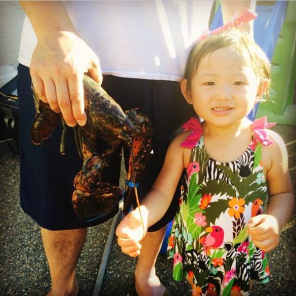 Roxy celebrating her 1st 4th of July with lobster