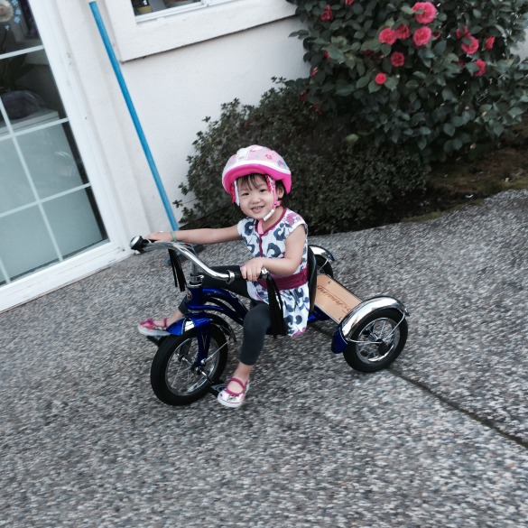 Roxy got a Schwinn tricycle on Valentine's Day. Technically, it's an early birthday gift for her. 