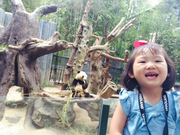 Roxy was very happy to see Xiao Liwu the panda at the San Diego Zoo