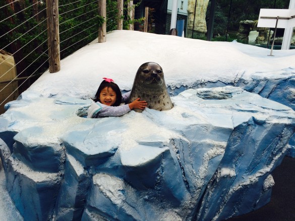 Roxy hugging a seal at the San Diego Zoo